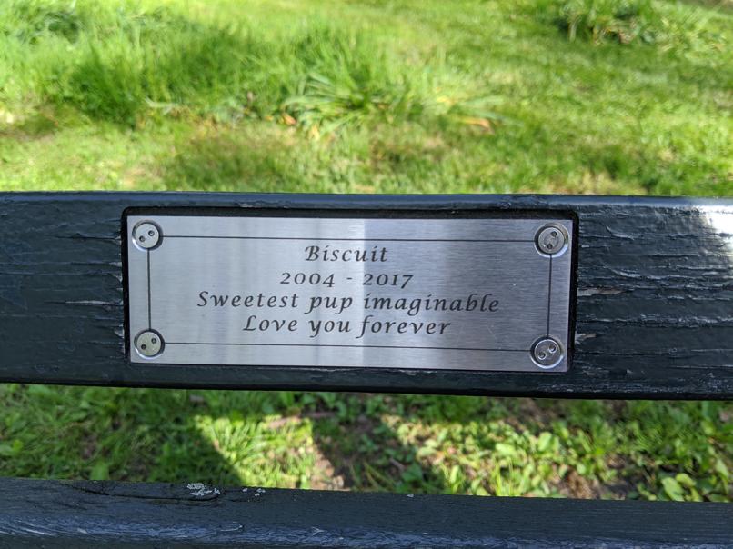 I saw this bench in Central Park