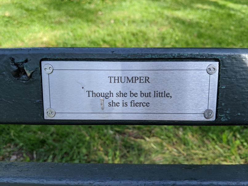 I saw this bench in Central Park