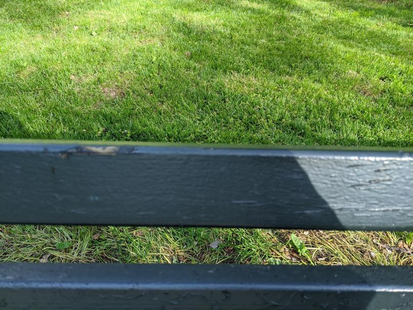 I saw this bench in Central Park