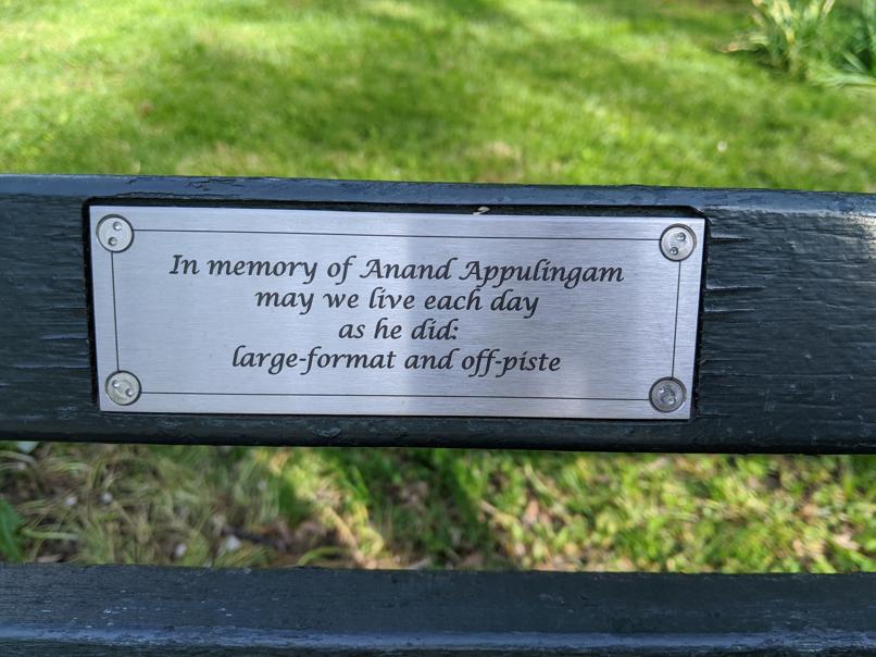 I saw this bench in Central Park