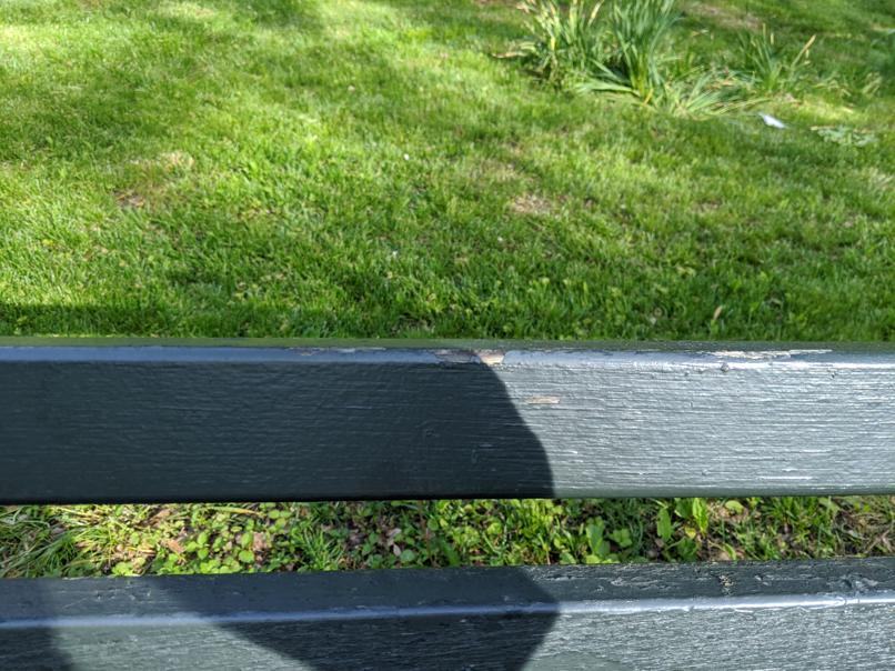 I saw this bench in Central Park