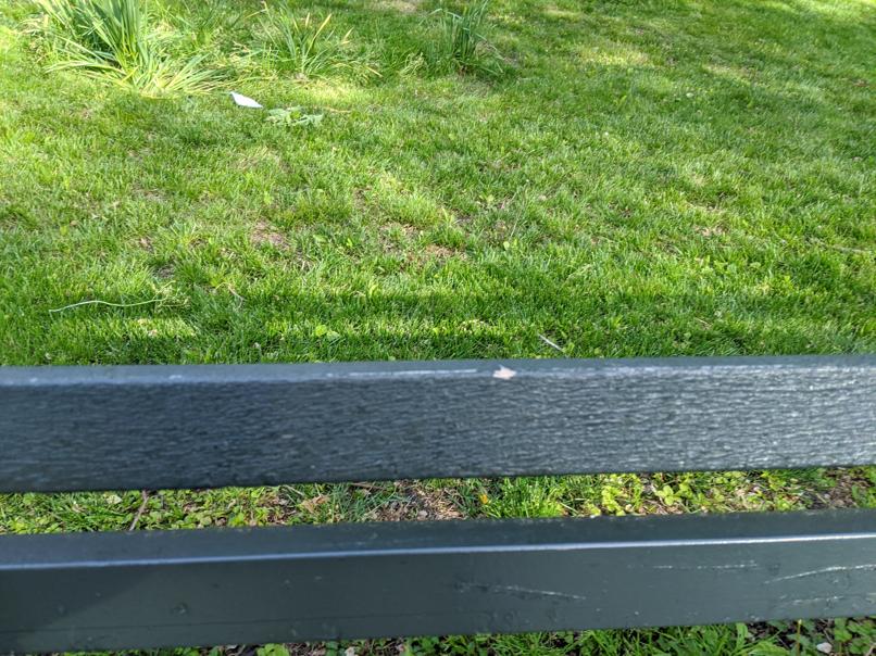 I saw this bench in Central Park