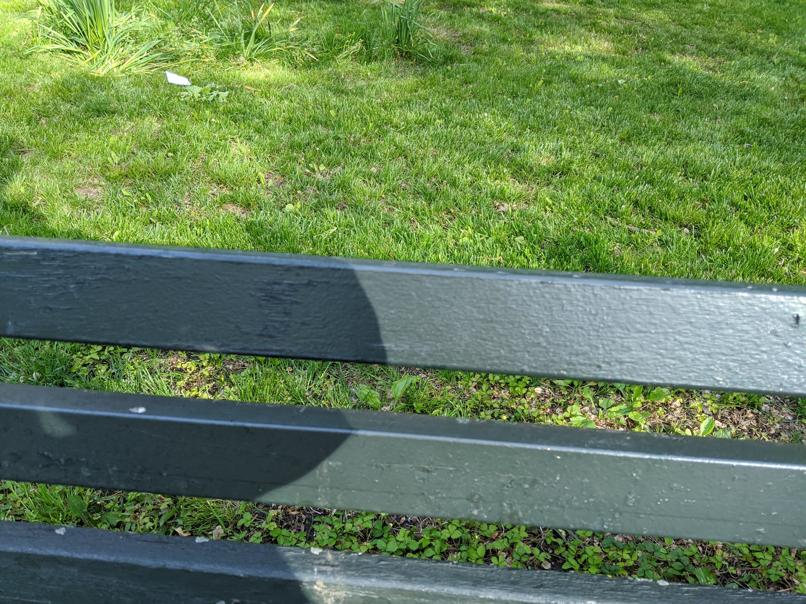 I saw this bench in Central Park