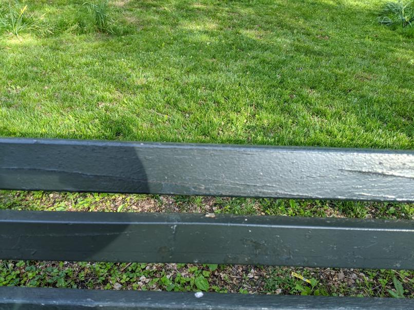 I saw this bench in Central Park