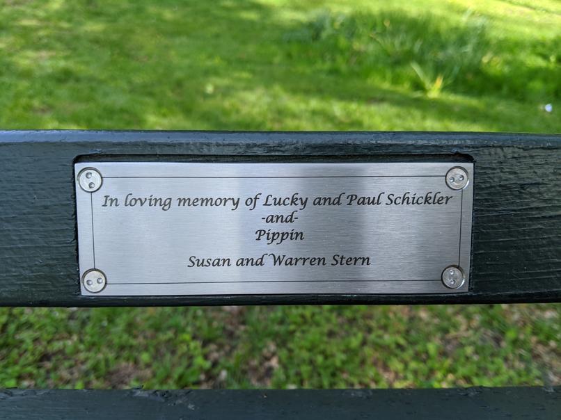 I saw this bench in Central Park