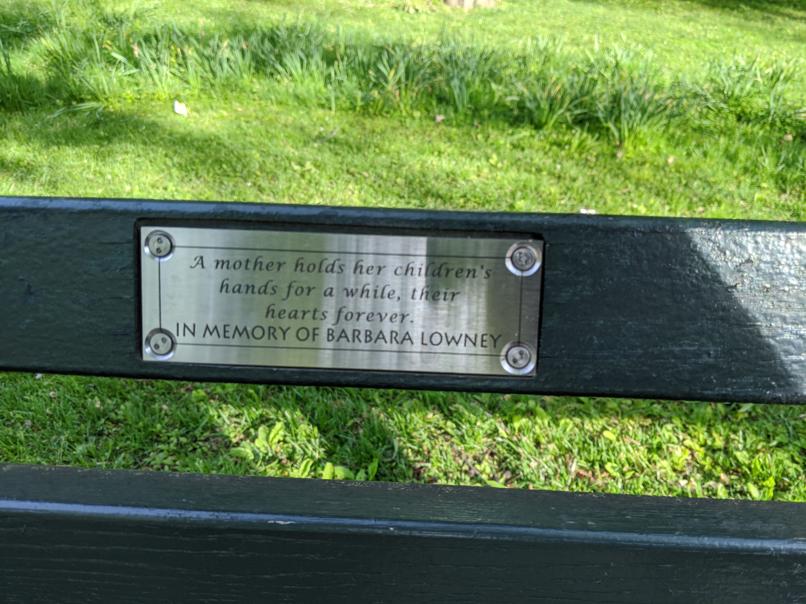 I saw this bench in Central Park