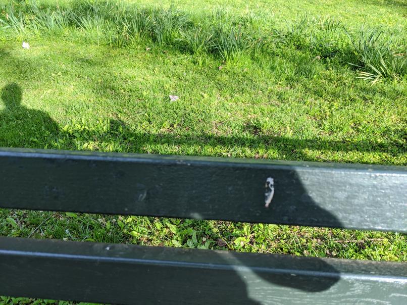 I saw this bench in Central Park