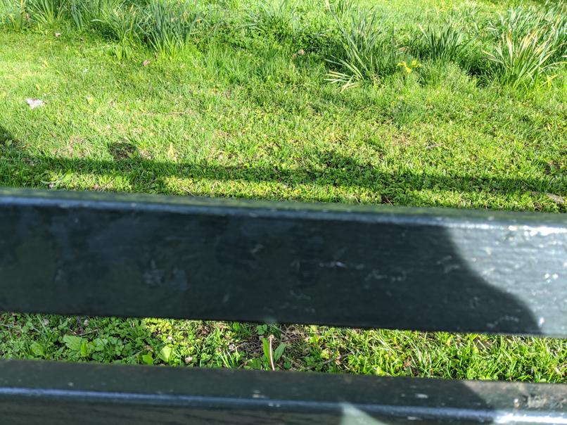 I saw this bench in Central Park