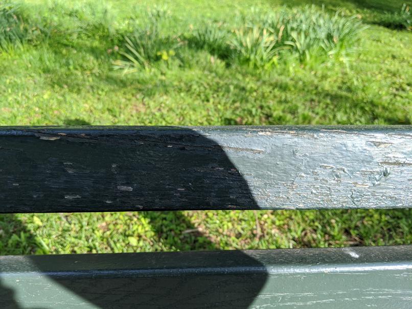 I saw this bench in Central Park