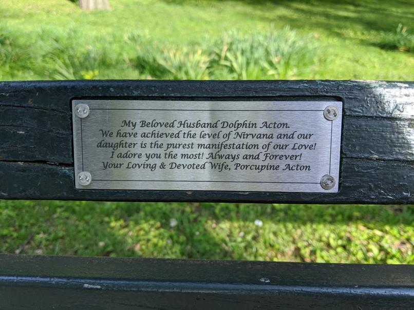 I saw this bench in Central Park