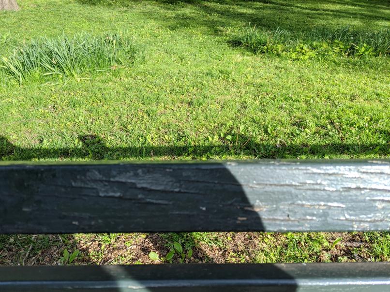 I saw this bench in Central Park