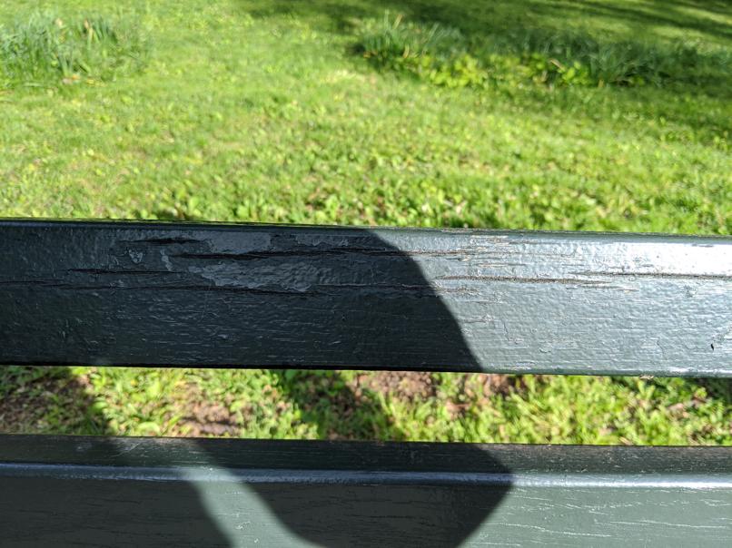 I saw this bench in Central Park