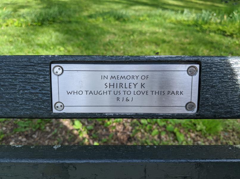 I saw this bench in Central Park