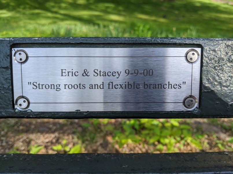 I saw this bench in Central Park