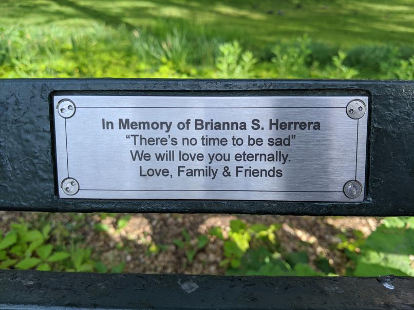 I saw this bench in Central Park