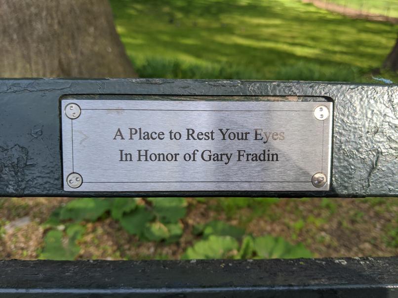 I saw this bench in Central Park