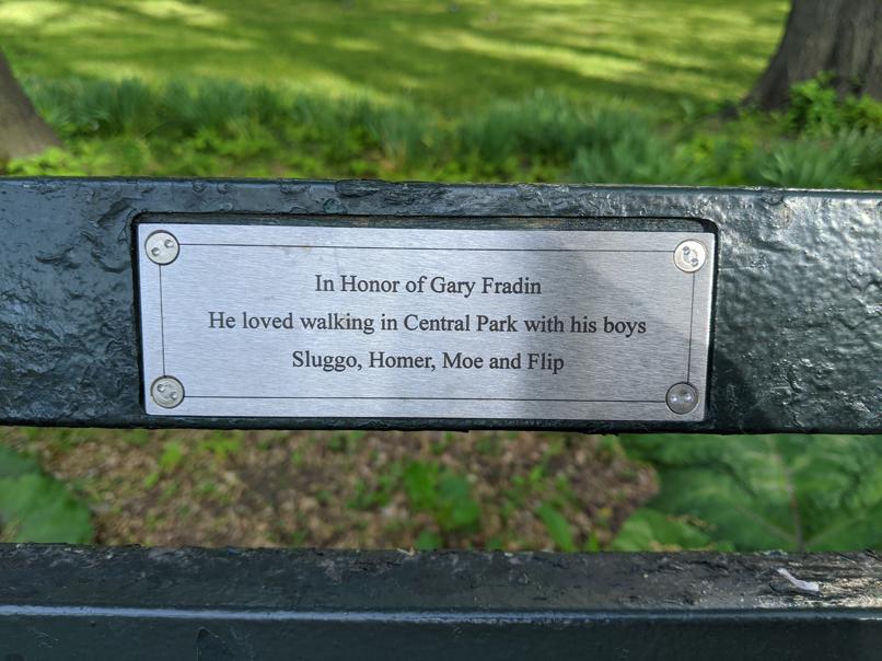 I saw this bench in Central Park