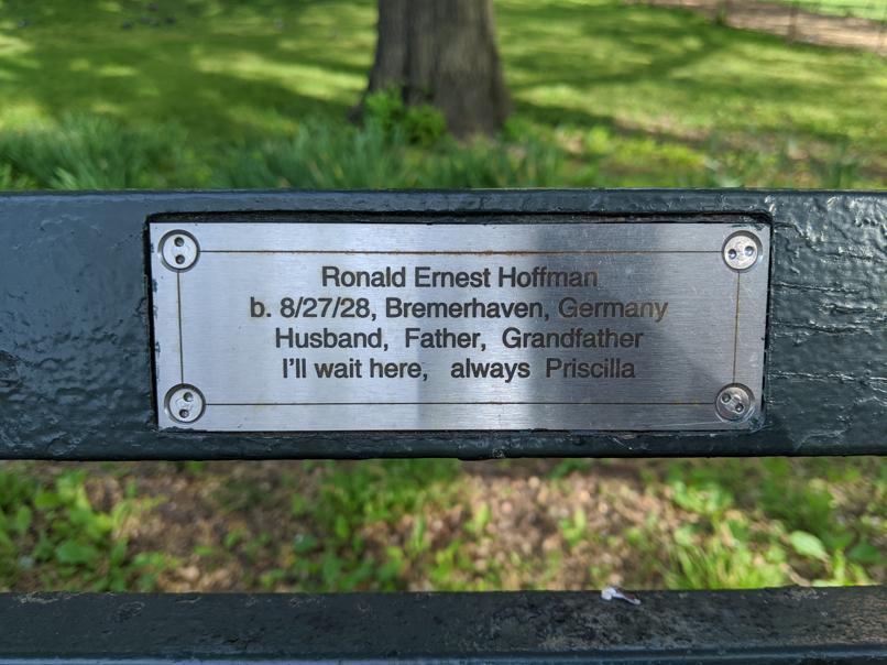 I saw this bench in Central Park