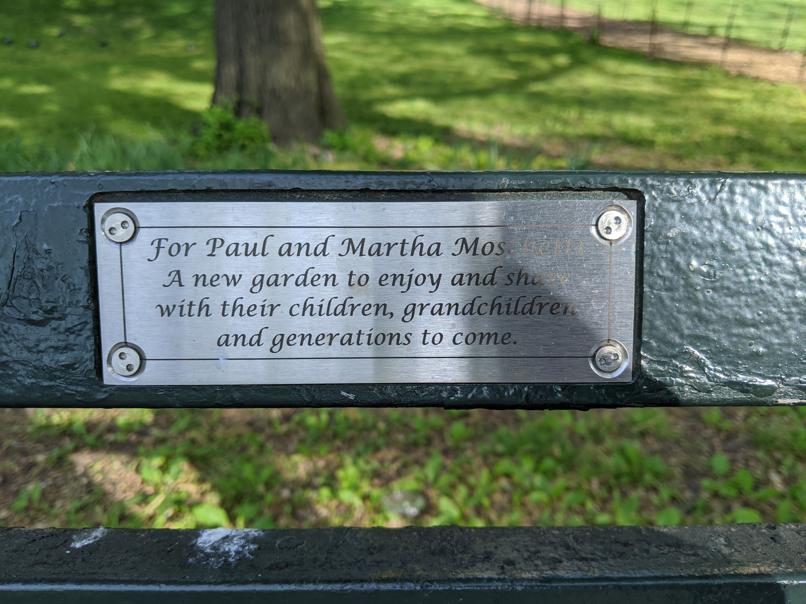 I saw this bench in Central Park