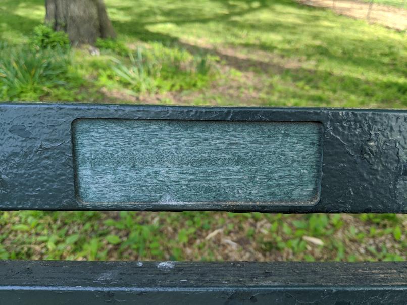 I saw this bench in Central Park