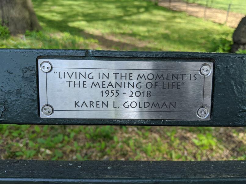 I saw this bench in Central Park