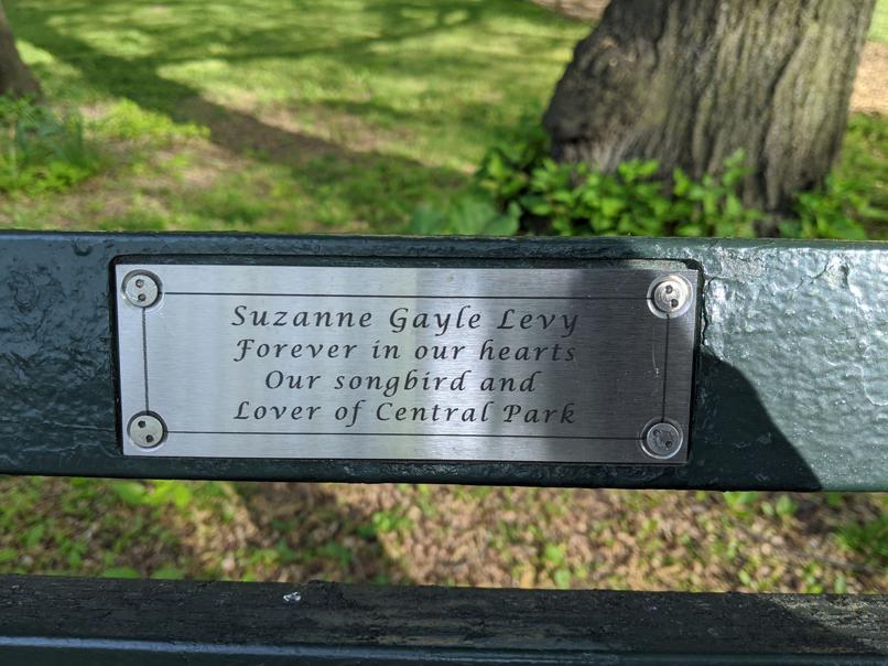 I saw this bench in Central Park