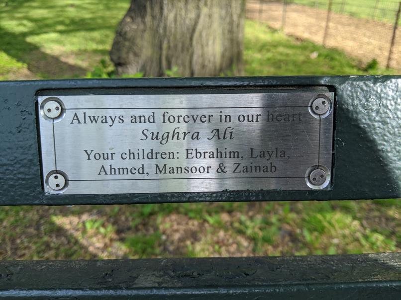 I saw this bench in Central Park