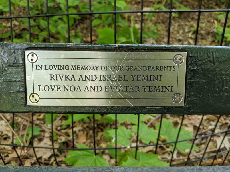 I saw this bench in Central Park