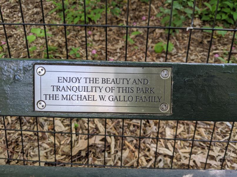 I saw this bench in Central Park