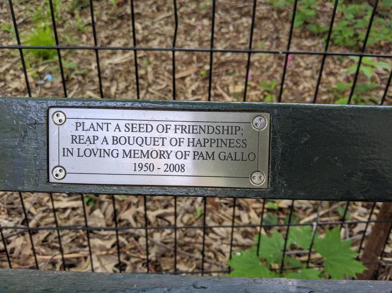 I saw this bench in Central Park