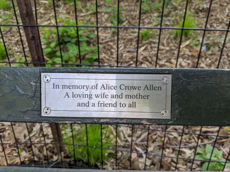 I saw this bench in Central Park