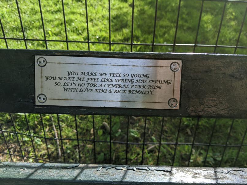 I saw this bench in Central Park