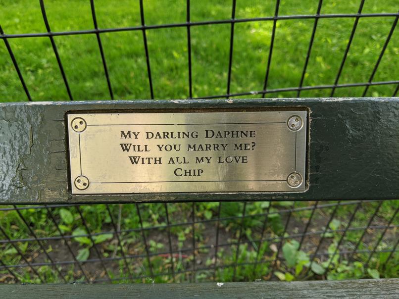 I saw this bench in Central Park