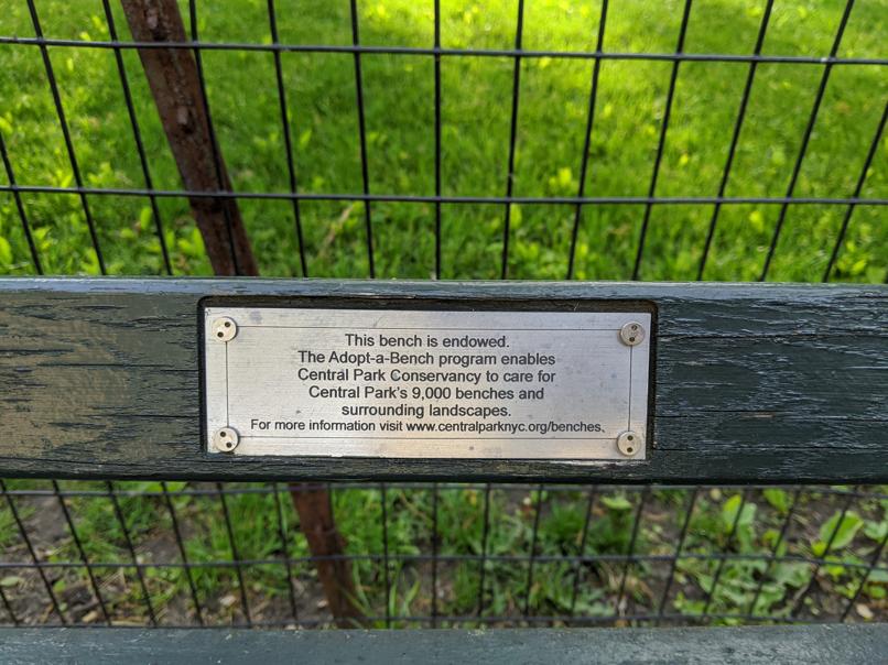 I saw this bench in Central Park