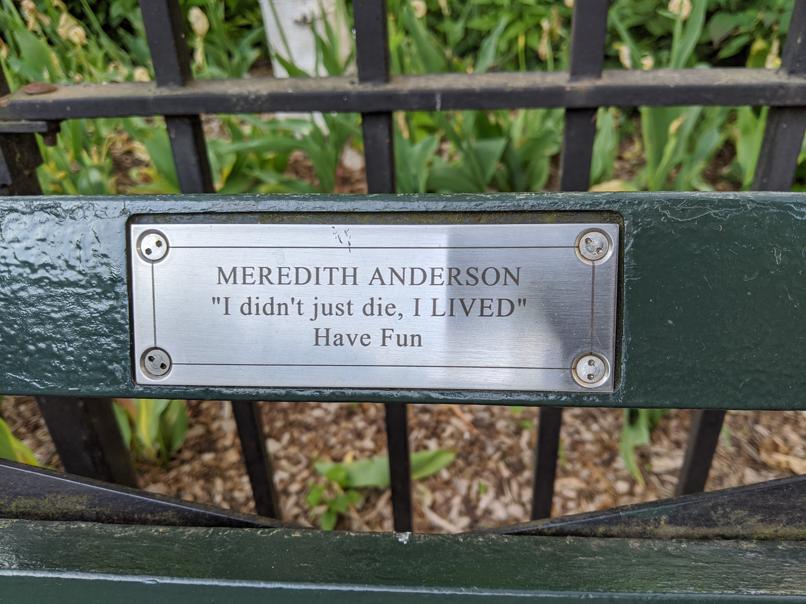 I saw this bench in Central Park