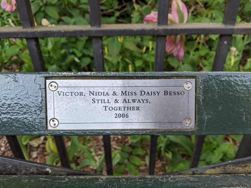 I saw this bench in Central Park