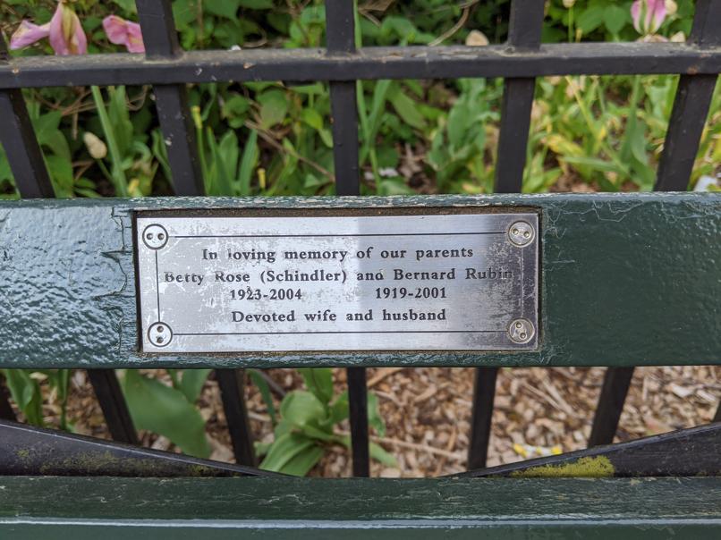 I saw this bench in Central Park