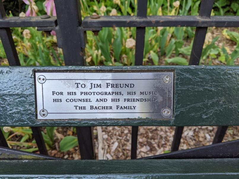 I saw this bench in Central Park