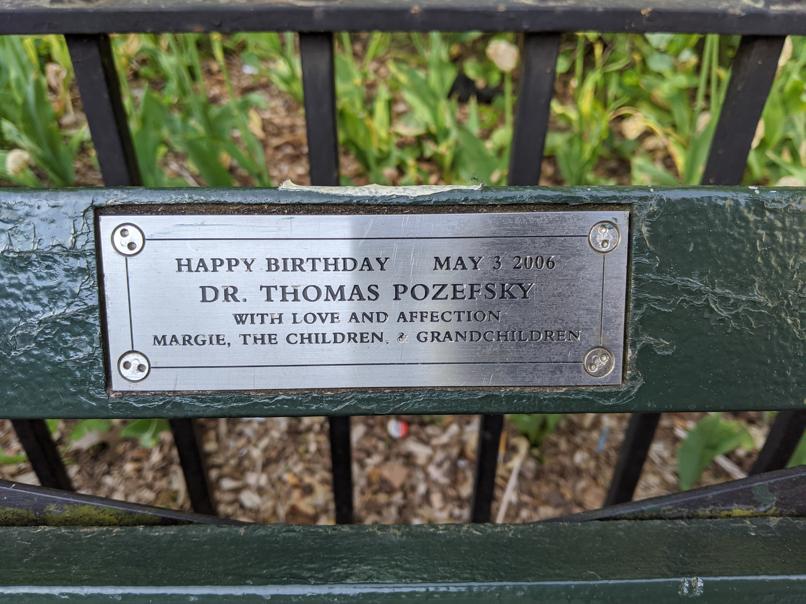 I saw this bench in Central Park