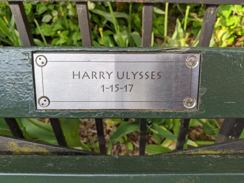 I saw this bench in Central Park