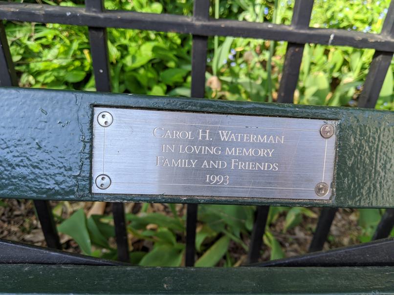 I saw this bench in Central Park