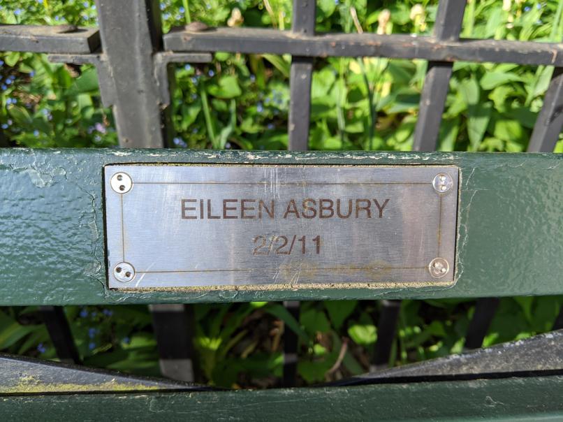 I saw this bench in Central Park