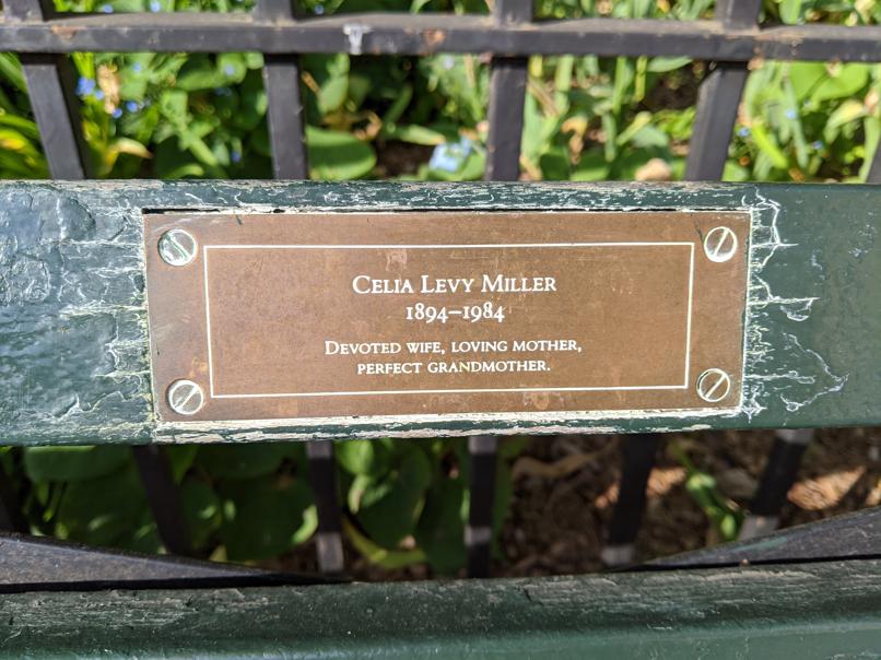 I saw this bench in Central Park