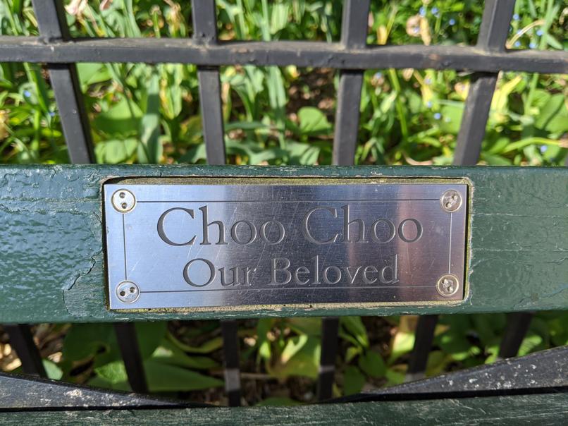 I saw this bench in Central Park