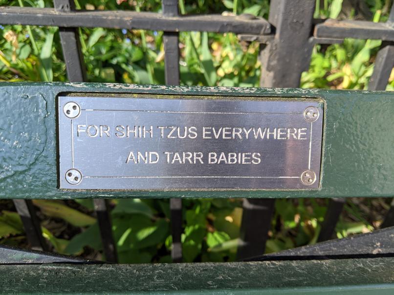 I saw this bench in Central Park