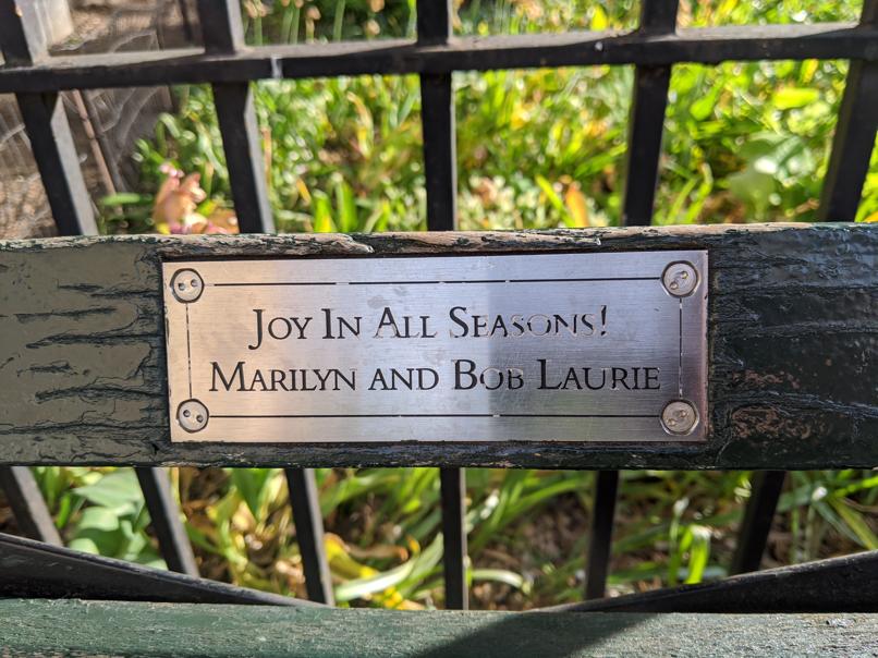 I saw this bench in Central Park