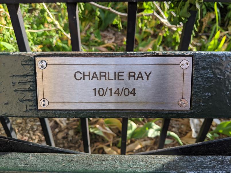 I saw this bench in Central Park