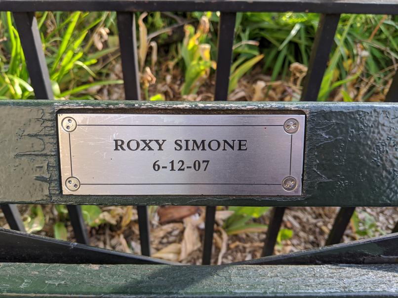 I saw this bench in Central Park