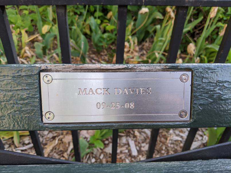 I saw this bench in Central Park