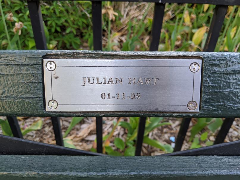 I saw this bench in Central Park